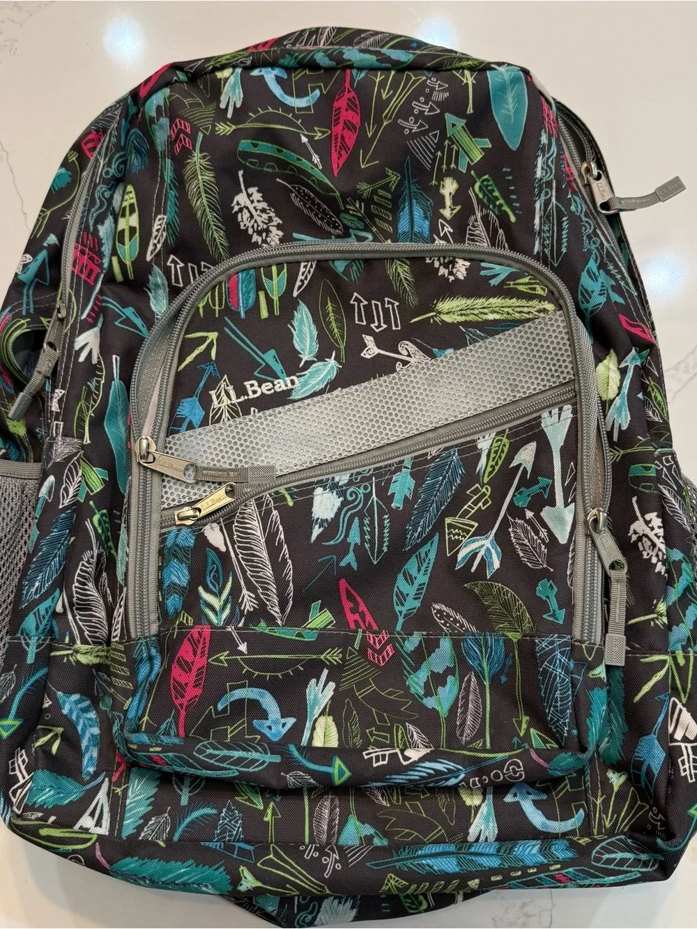 LL Bean Feathers Arrows Gray Backpack Pink Blue Multi Pocket Full Sized, School